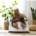 INGENUITY Jídelní židlička na židli 2v1 Baby Base Cashmere 6m+ do 15 kg