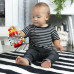 BABY EINSTEIN Chrastítko s aktivitami Cal’s Sensory Shake-up™3m+ BABY EINSTEIN Chrastítko s aktivitami Cal’s Sensory Shake-up™3m+