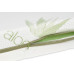 BABYMATEX Matrace Flora, 120x60x10