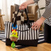 BABY EINSTEIN Hračka s chrastítkem natahovací na C kroužku Cal-a-Puller™ 0m+ BABY EINSTEIN Hračka s chrastítkem natahovací na C kroužku Cal-a-Puller™ 0m+