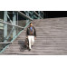 EASYWALKER Kočárek kombinovaný Zoey Pure Black + CBX By CYBEX Aton B2 i-Size + základna