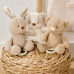 NATTOU Hračka plyšová hudební Teddy zajíček 24 cm, 0m+