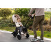 QPLAY Tříkolka Nova Max 5v1 Black, 10-72 měsíců