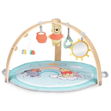 DISNEY BABY Deka na hraní pro rozvoj motoriky a smyslů, oboustranná Winnie the Pooh™ Hunny Hangout™,