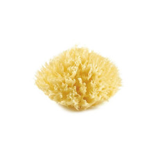 Mořská houba, Yellow