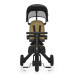 Tříkolka X Trike Pro, Kodi Bronze