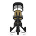 Tříkolka X Trike Pro, Kodi Bronze
