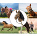 Hobby Horse Plus Milly Mally brown Hobby Horse Plus Milly Mally brown