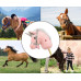 Hobby Horse se zvukem Milly Mally light pink