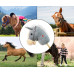 Hobby Horse se zvukem Milly Mally grey