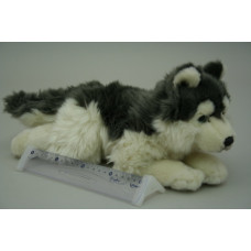 Plyš Husky