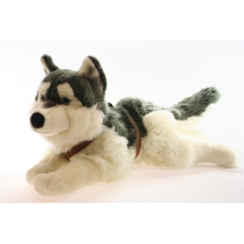 Plyš Husky Plyš Husky