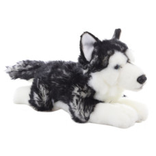 Plyš Husky ležící 35 cm