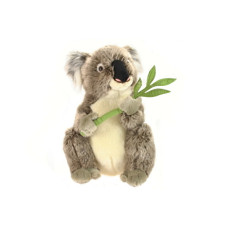 Plyš Koala 30 cm