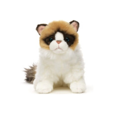 Plyš Kočka Ragdoll 23cm Eco-friendly
