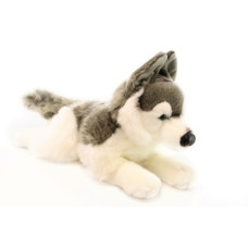 Plyš Husky 43 cm
