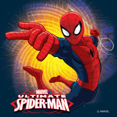 Polštářek Spiderman 2016 40x40