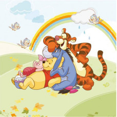 Polštářek Medvídek Pů 2013 40x40